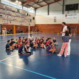 Lire la suite à propos de l’article NOS HANDBALLEURS EN HERBE SONT DE RETOUR !